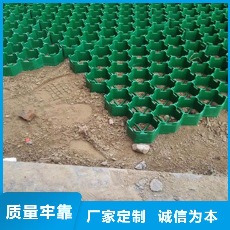 环保植草格-土工布厂家重信誉厂家