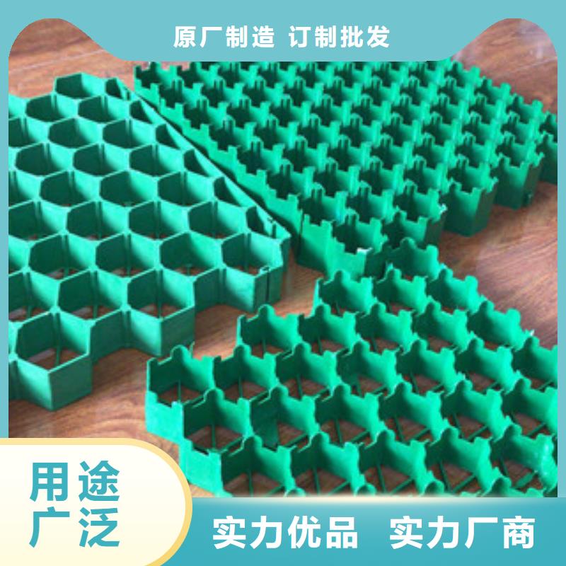 环保植草格植草格厂家专业按需定制