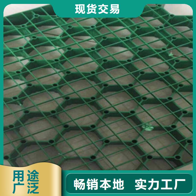 环保植草格_植草格厂家好货直销