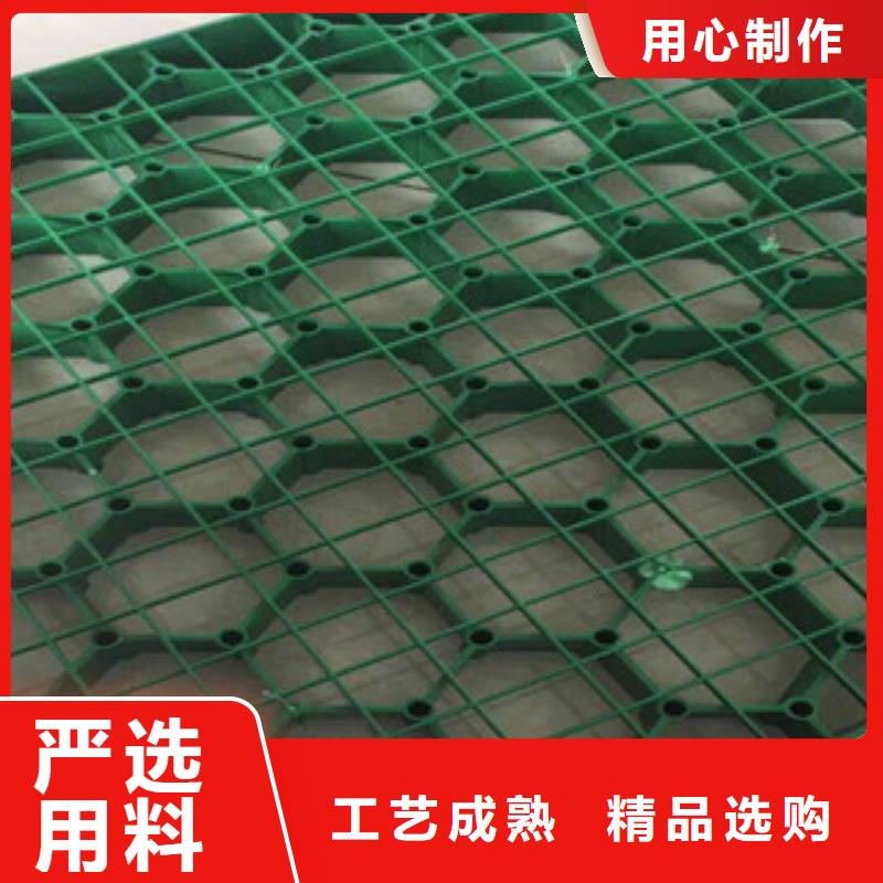 环保植草格土工膜厂家用心做产品