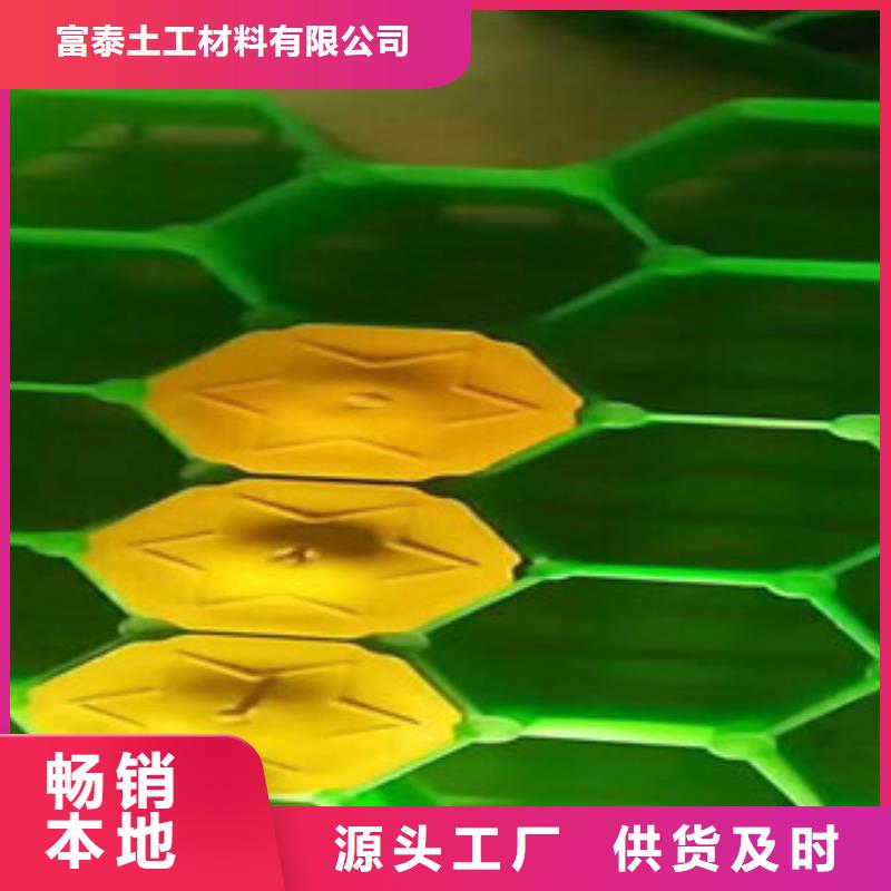 【环保植草格-排水板厂家高品质诚信厂家】