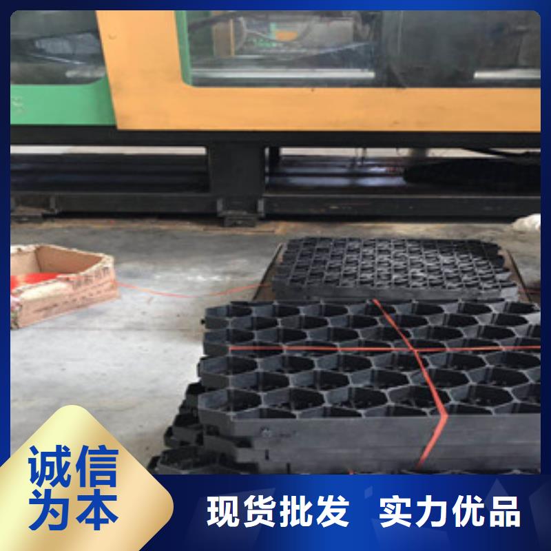 环保植草格-土工布厂家高质量高信誉
