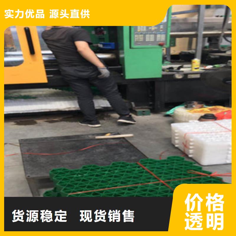 环保植草格植草格厂家专业按需定制