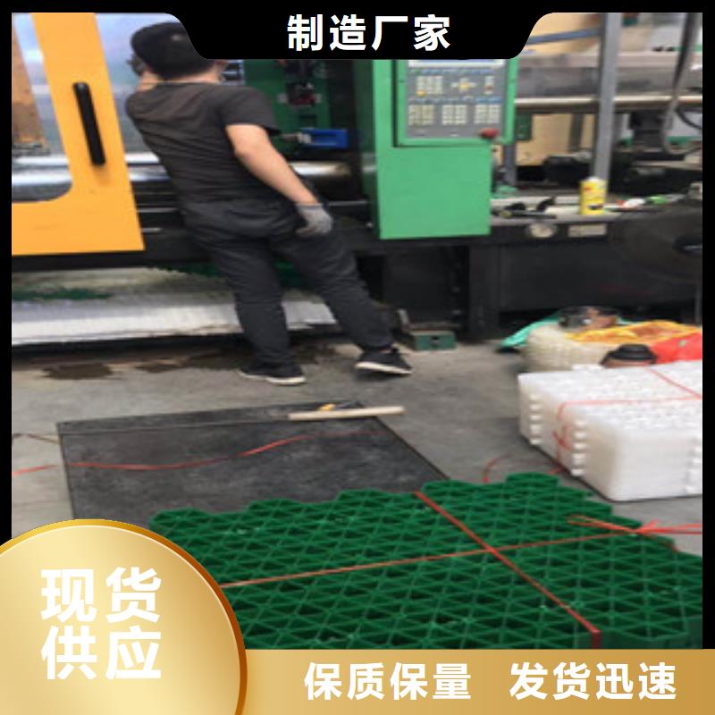 环保植草格_植草格厂家好货直销