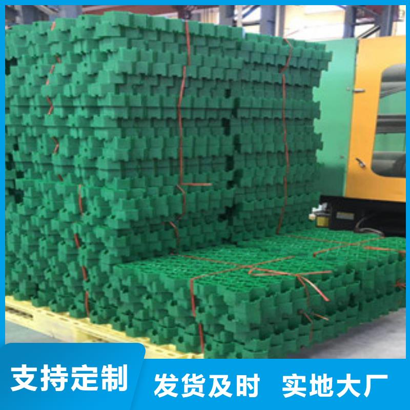 环保植草格土工布厂家款式新颖