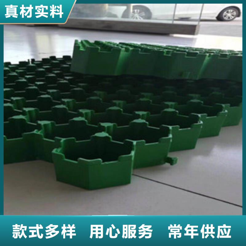 【环保植草格】-植草格厂家品牌企业