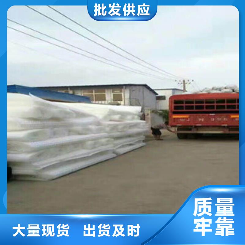 塑料排水板蓄排水板厂家一件也发货