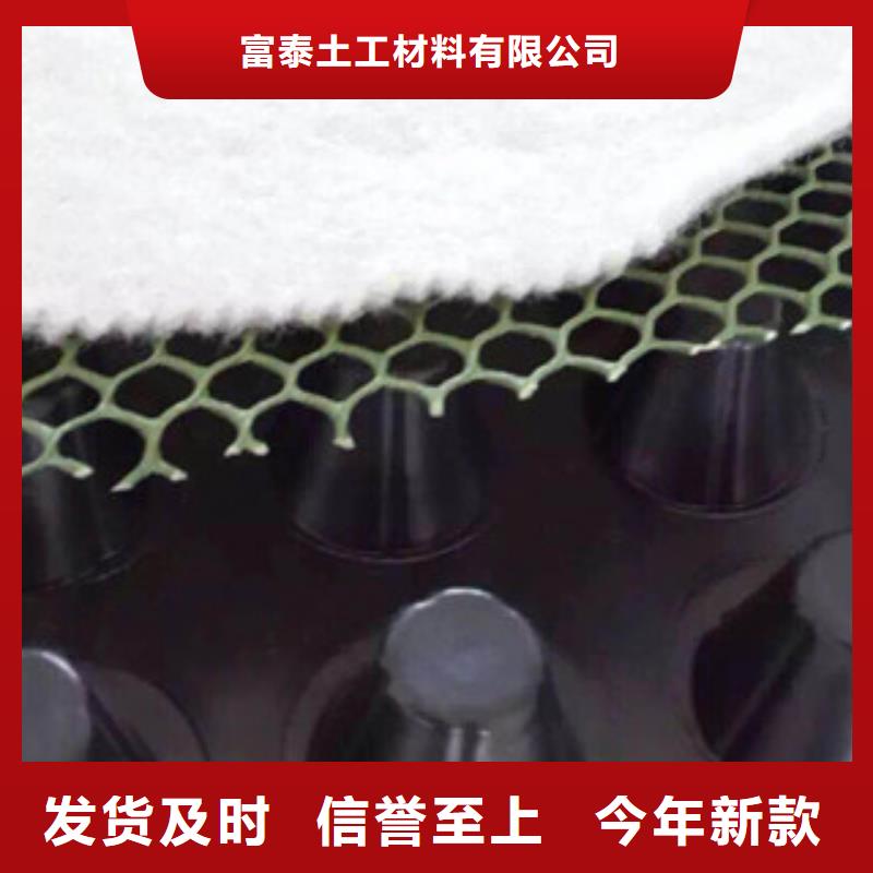 【塑料排水板_土工布厂家供应采购】