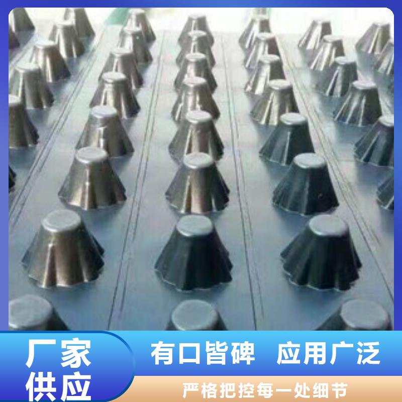 塑料排水板排水板厂家一站式服务