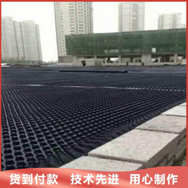 塑料排水板生态袋厂家高品质诚信厂家
