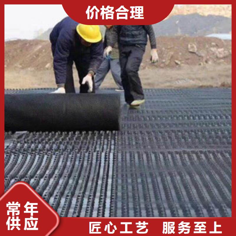 塑料排水板,植草格厂家工厂现货供应