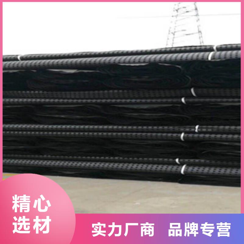 塑料排水板【蓄排水板厂家】源头工厂