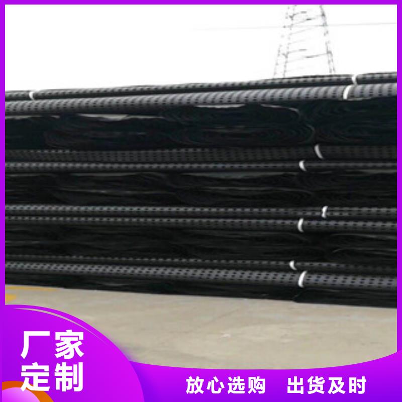 塑料排水板蓄排水板厂家N年专注