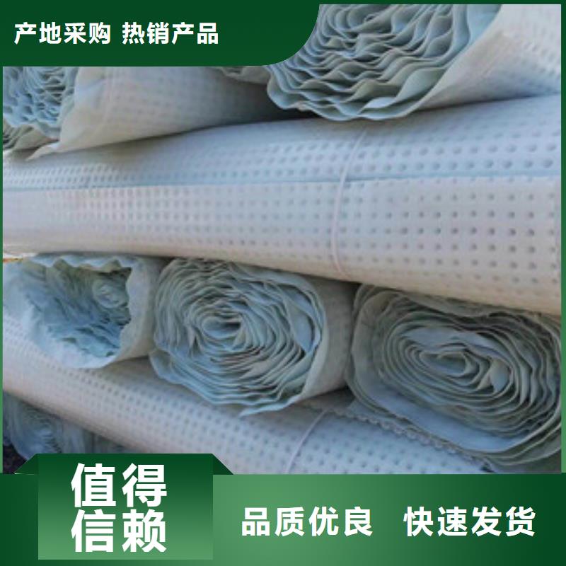 塑料排水板蓄排水板厂家N年专注
