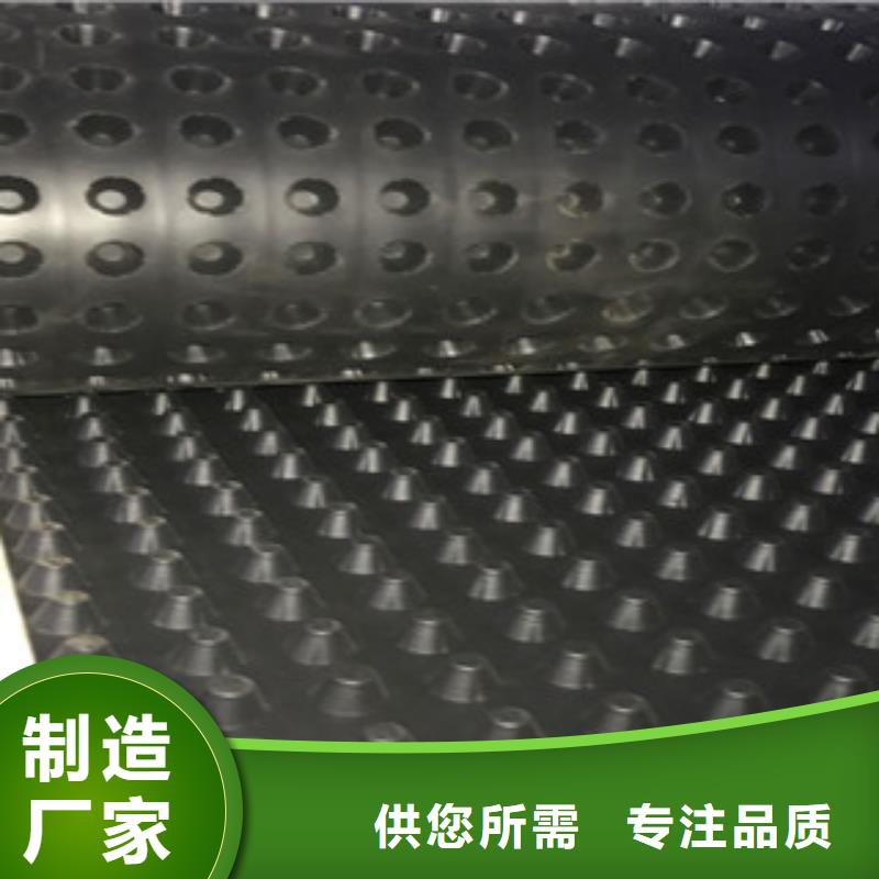 塑料排水板,植草格厂家专业生产设备