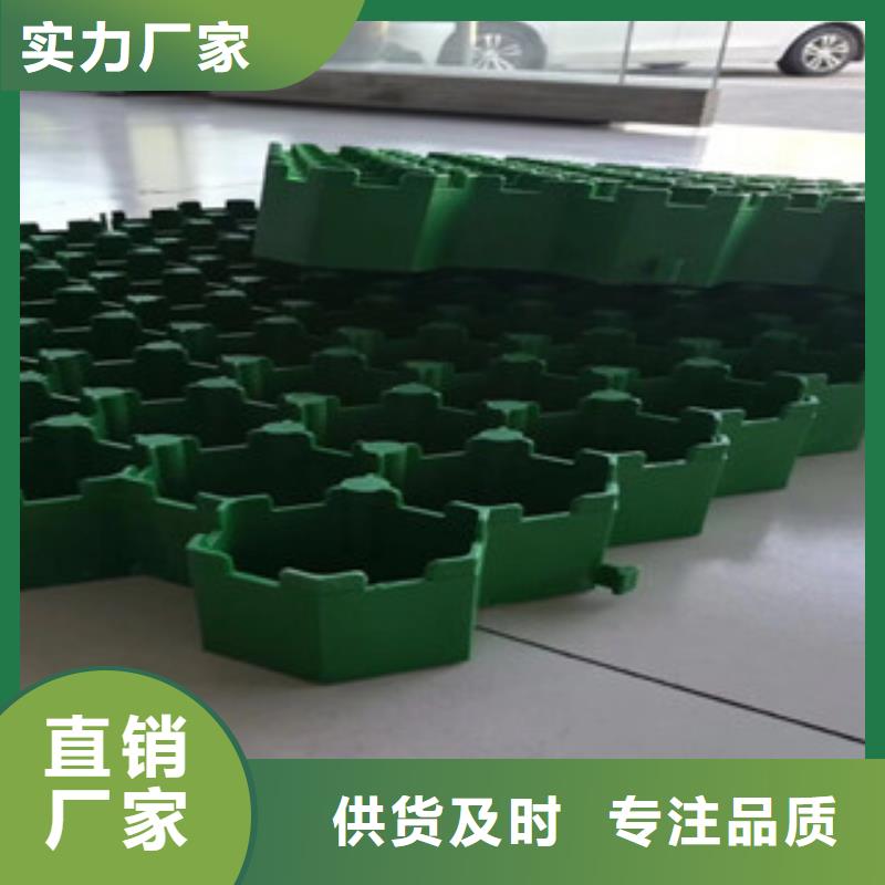 植草格土工布厂家精益求精