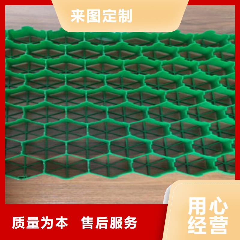 植草格,植草格厂家多年行业积累