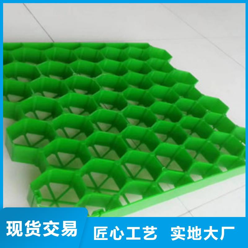 【植草格土工膜厂家交货准时】
