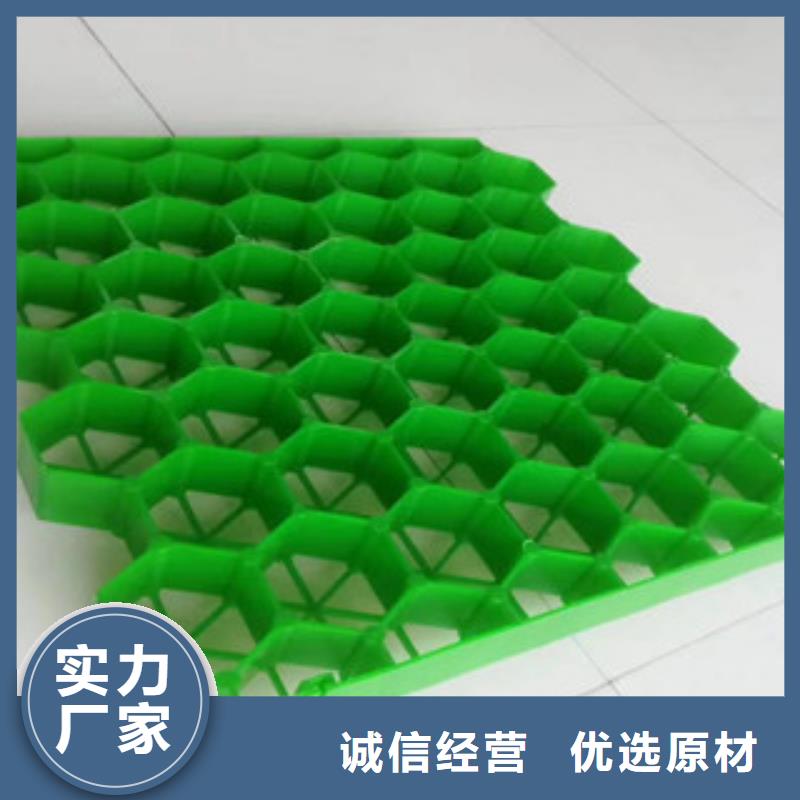 植草格【无纺布厂家】品质保证