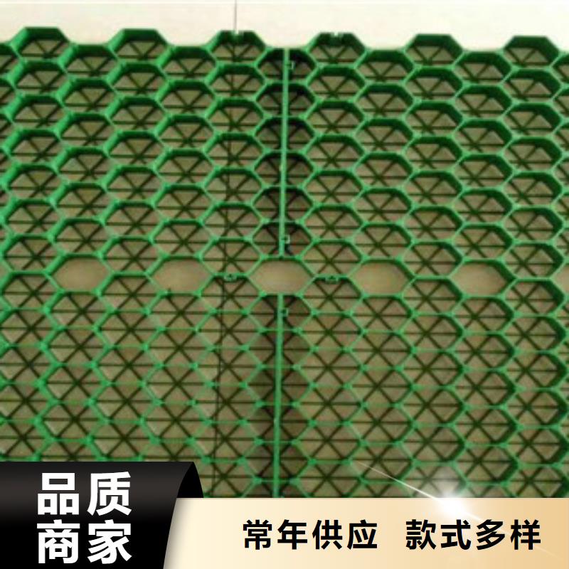 【植草格土工膜厂家交货准时】