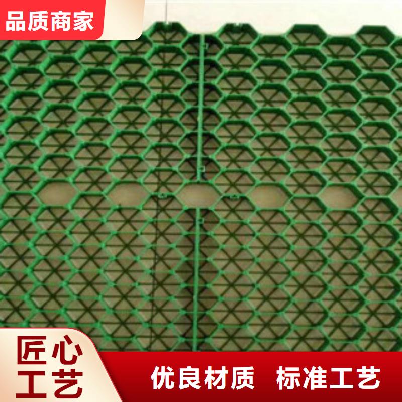 植草格-【膨润土防水毯厂家】懂您所需