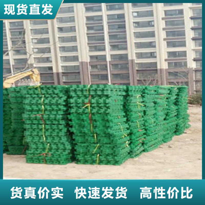 植草格【土工膜厂家】有口皆碑