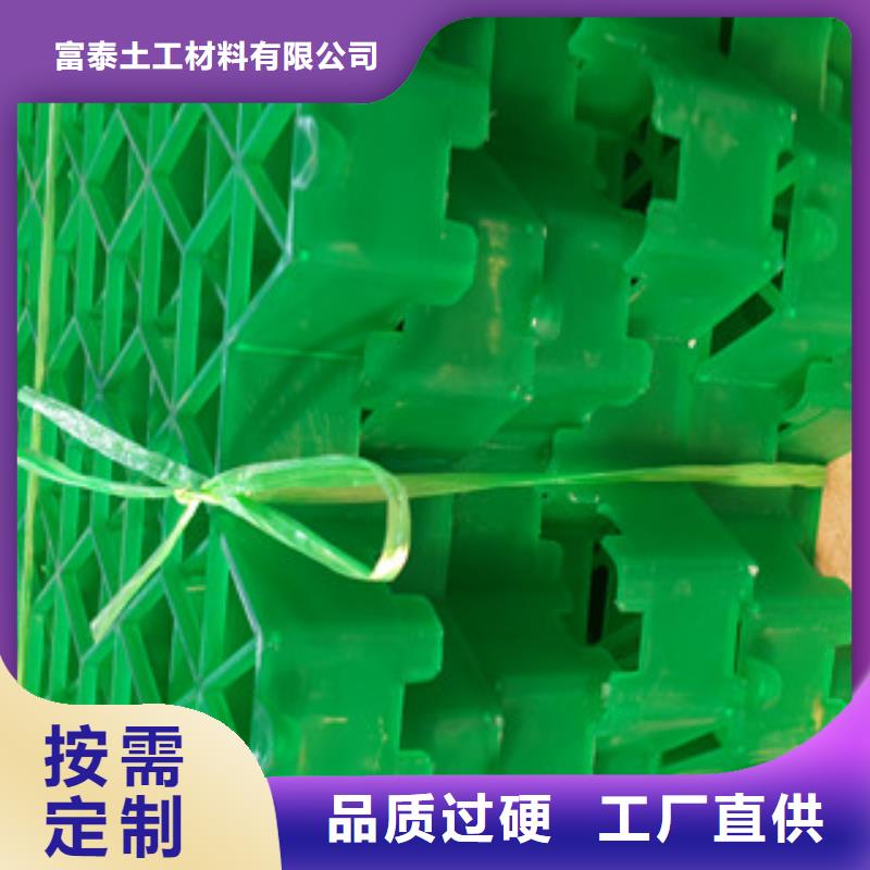 【植草格蓄排水板厂家欢迎来电询价】