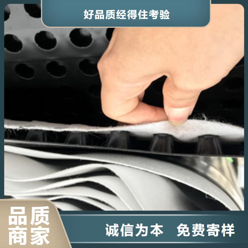 【排水板蓄排水板厂家真材实料】
