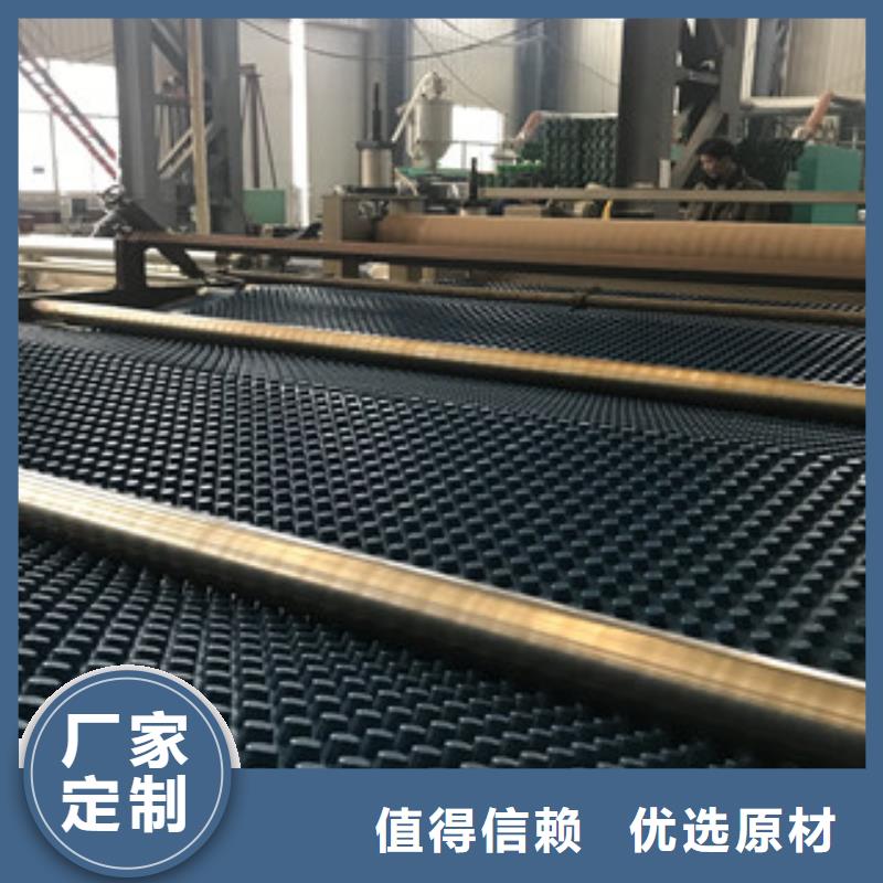 排水板蓄排水板厂家货品齐全