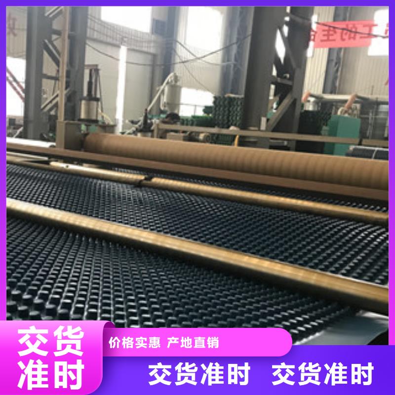 排水板植草格厂家货源足质量好