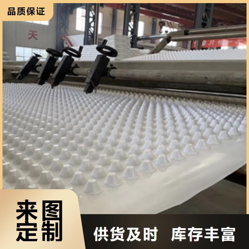 排水板蓄排水板厂家厂家直销直供