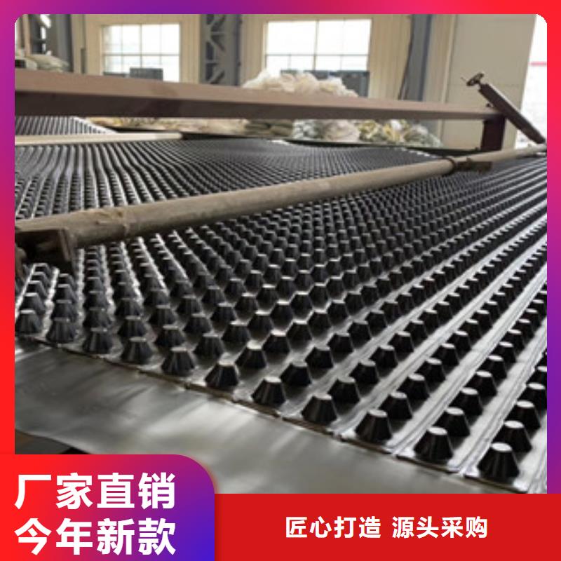 【排水板】虹吸排水板厂家真正让利给买家
