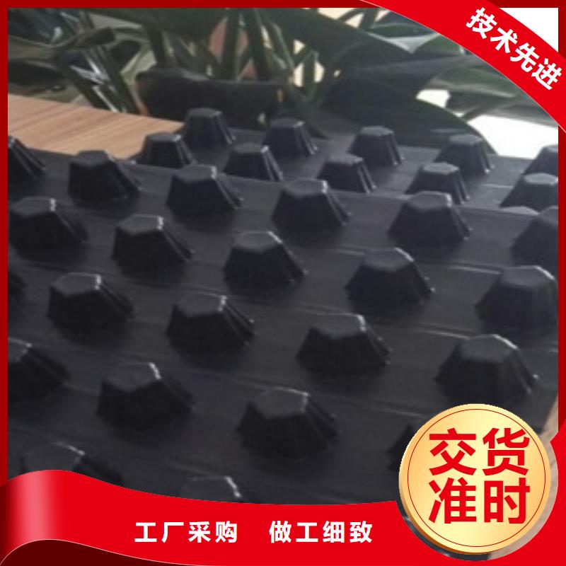 排水板蓄排水板厂家源厂定制