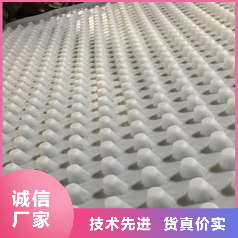 排水板_膨润土防水毯厂家多年行业经验