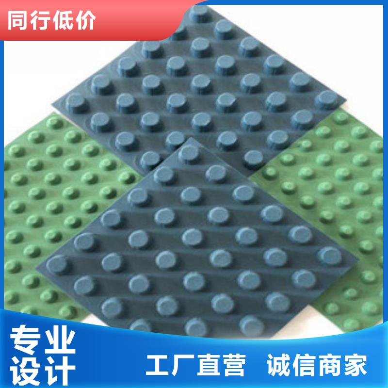 排水板排水板厂家精致工艺