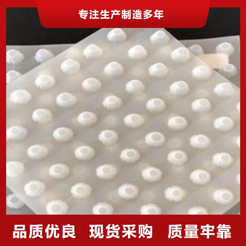 排水板膨润土防水毯厂家N年大品牌