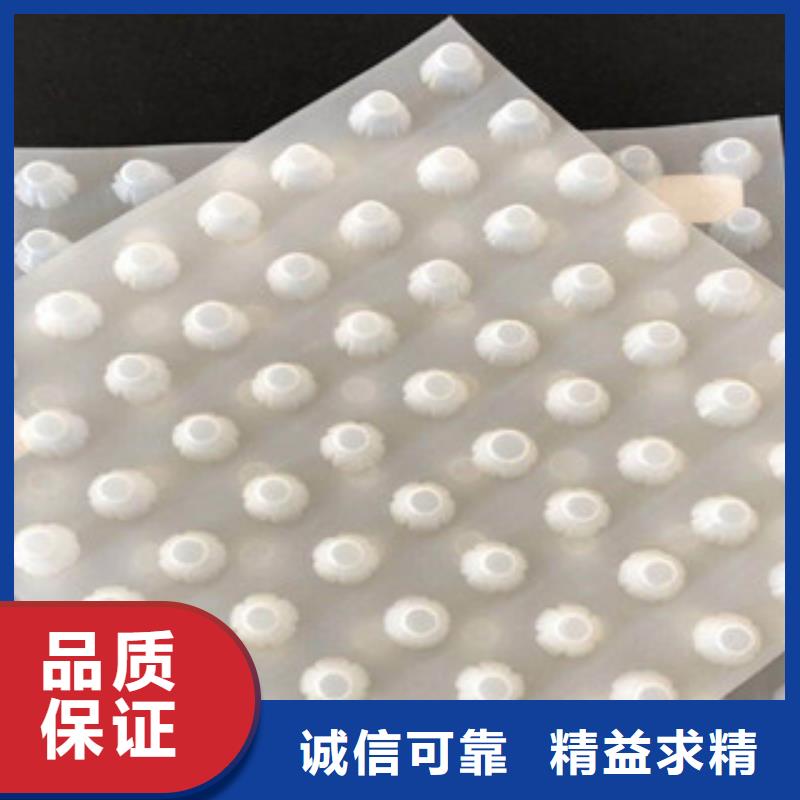 排水板蓄排水板厂家源厂定制