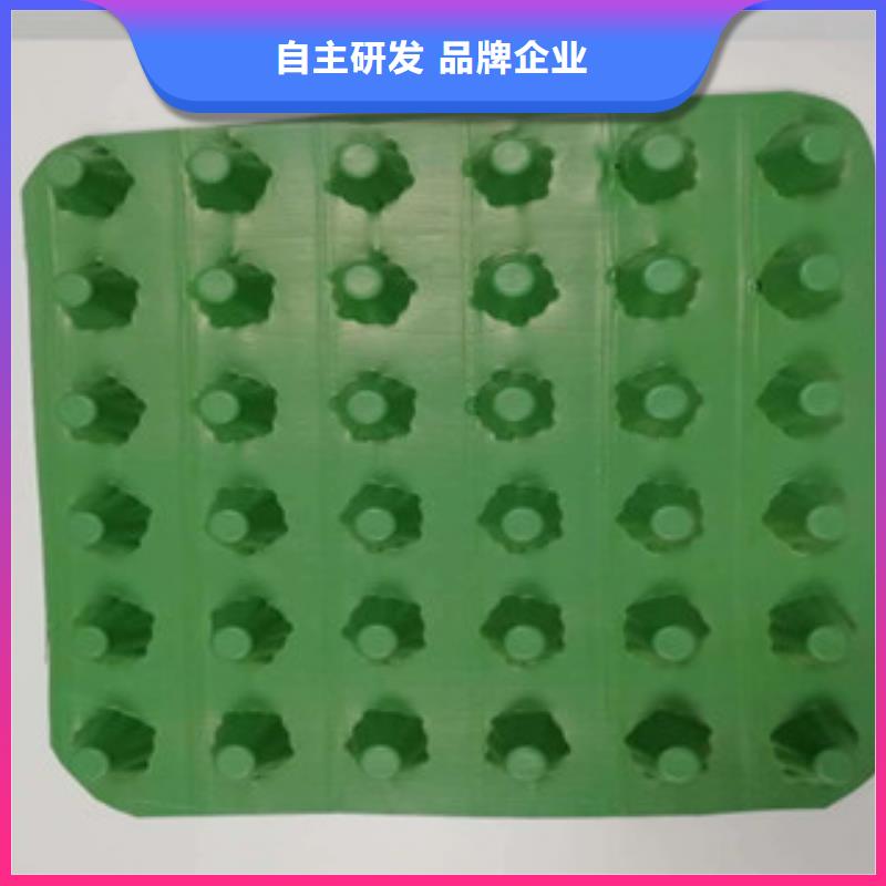 排水板-土工膜厂家一致好评产品