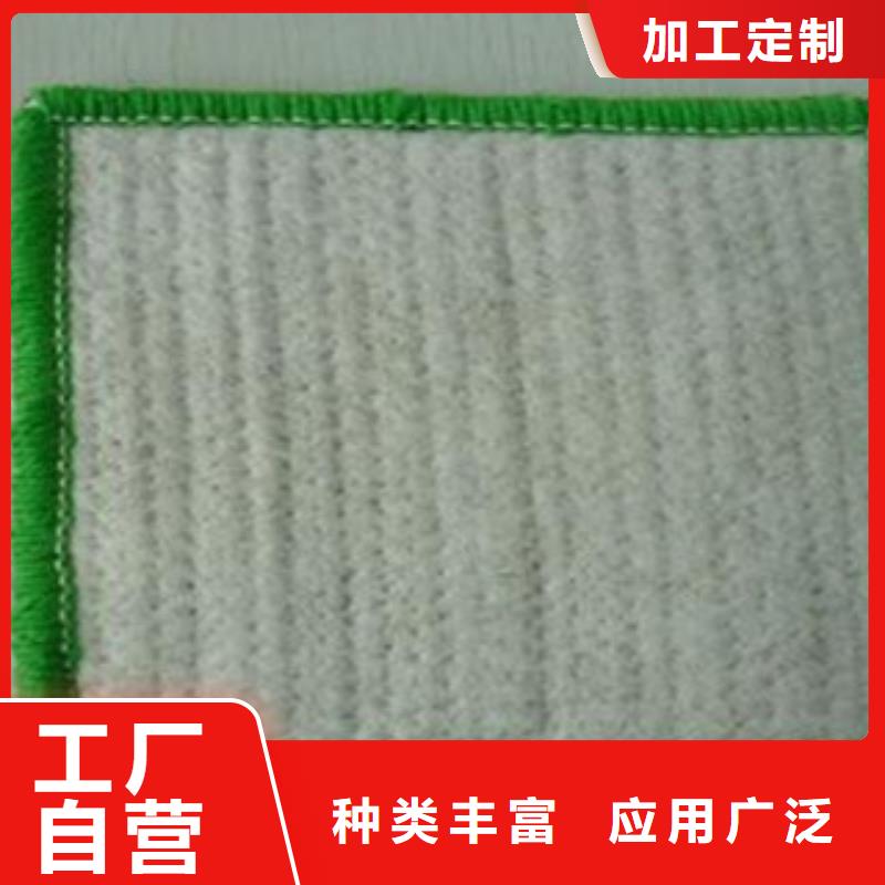 【防水毯】蓄排水板厂家精工细作品质优良