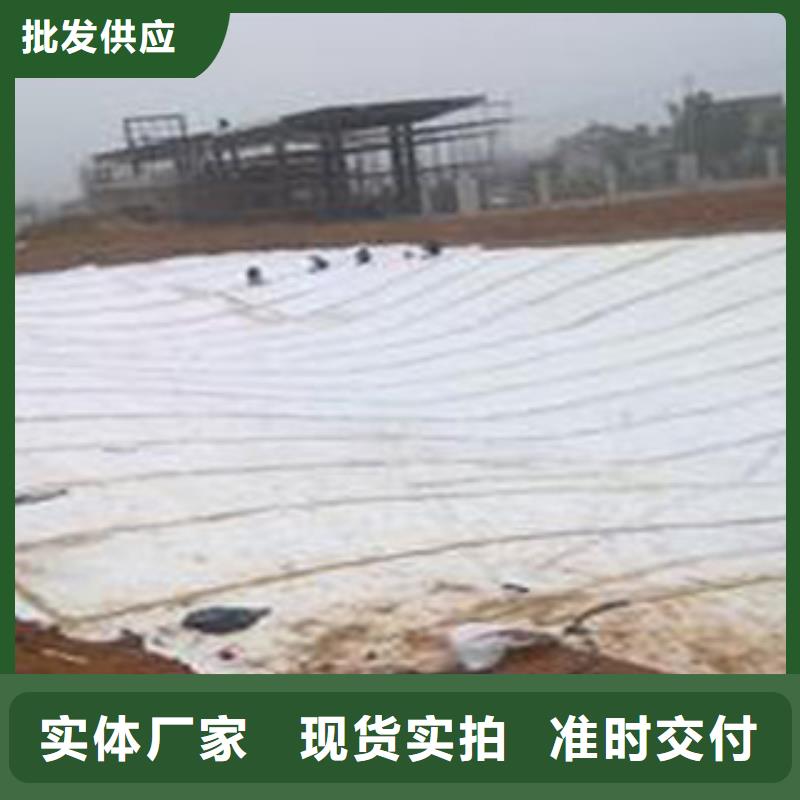 【防水毯无纺布厂家真实拍摄品质可靠】