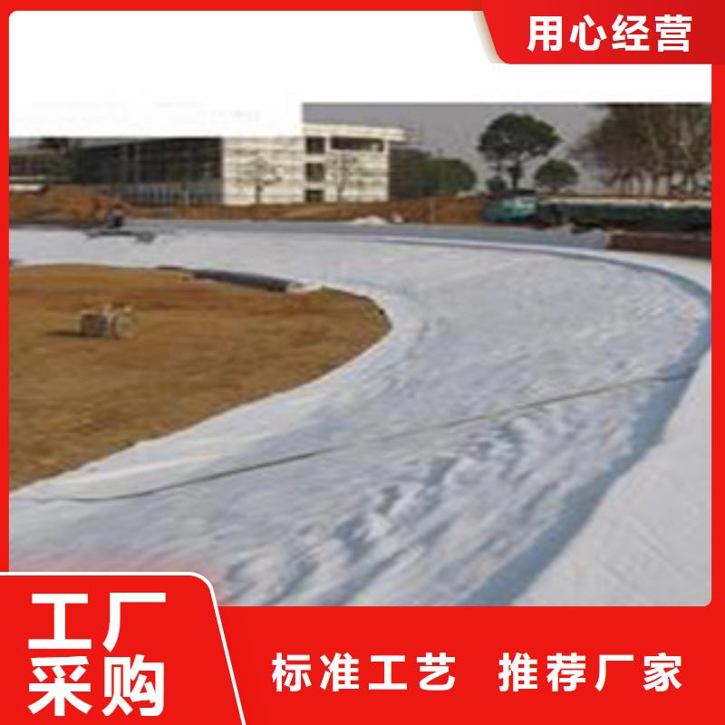 【防水毯】_土工膜厂家库存量大