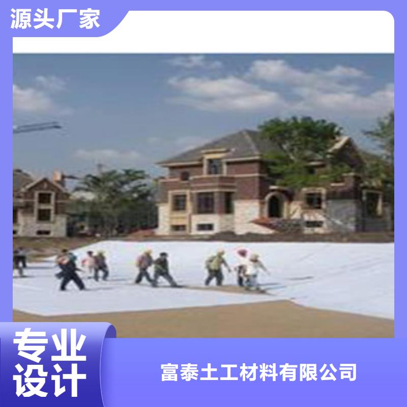 防水毯【土工膜厂家】专注细节更放心