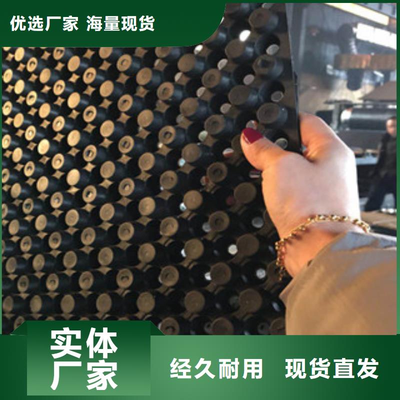 蓄排水板植草格厂家从厂家买售后有保障