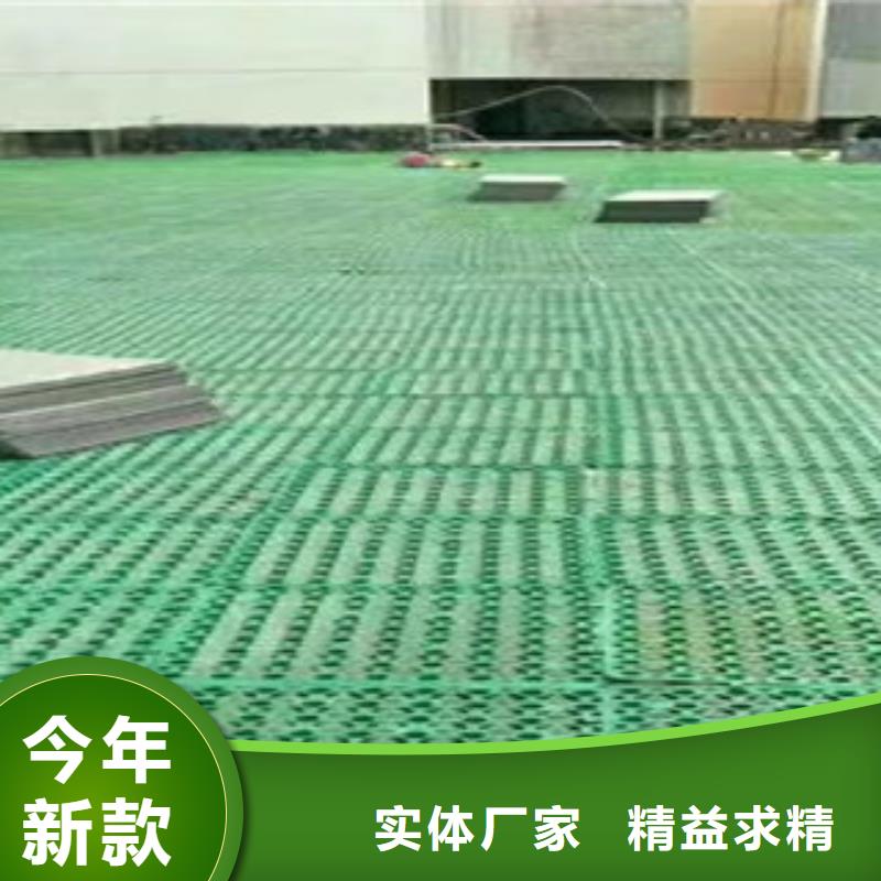 蓄排水板土工膜厂家直销厂家