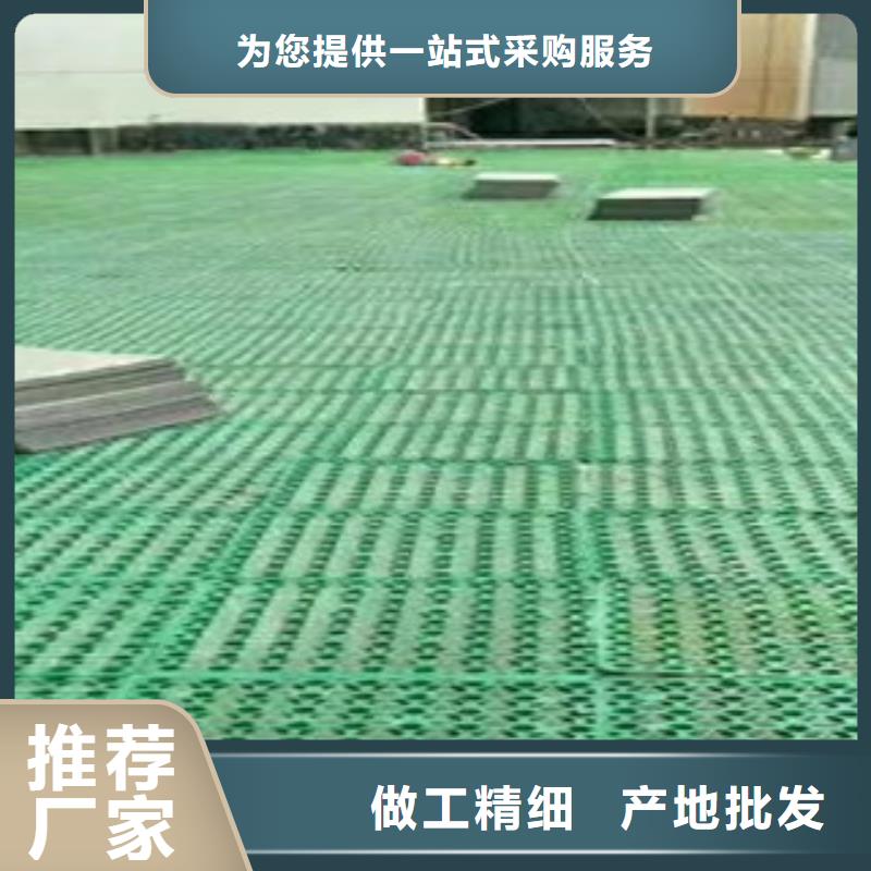 蓄排水板排水板厂家一个起售