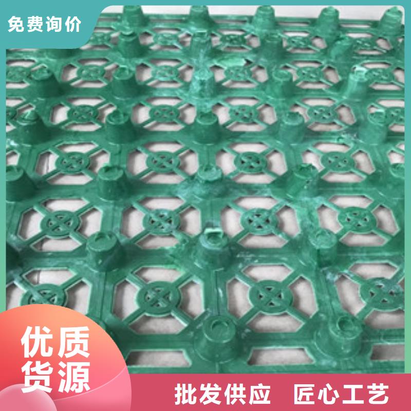 蓄排水板蓄排水板厂家精品优选