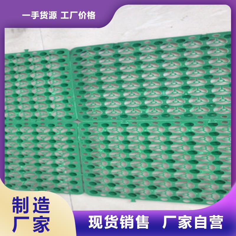 蓄排水板植草格厂家从厂家买售后有保障