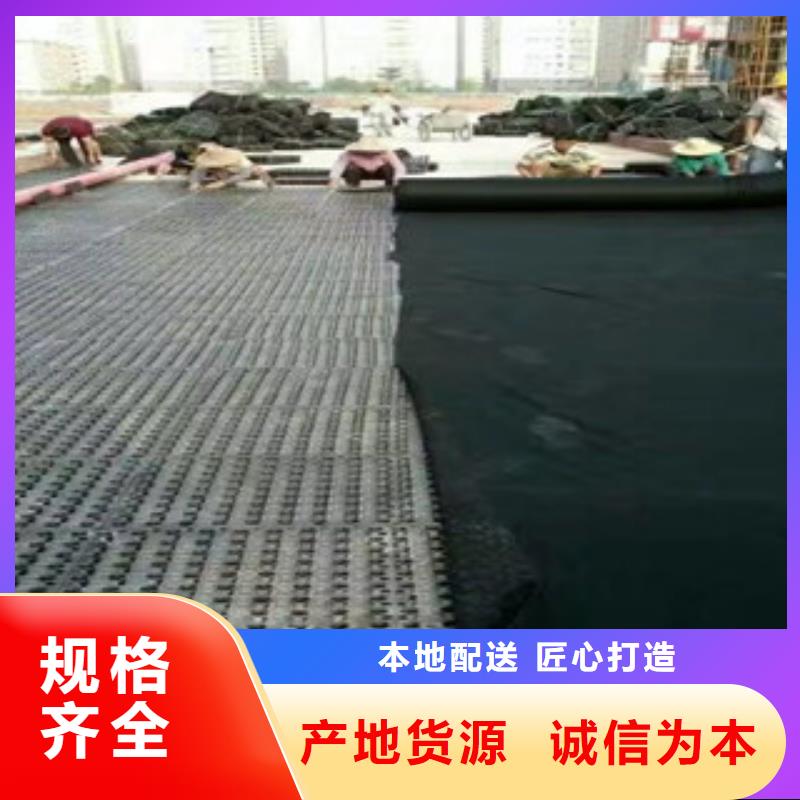 【蓄排水板】土工布厂家按需定制