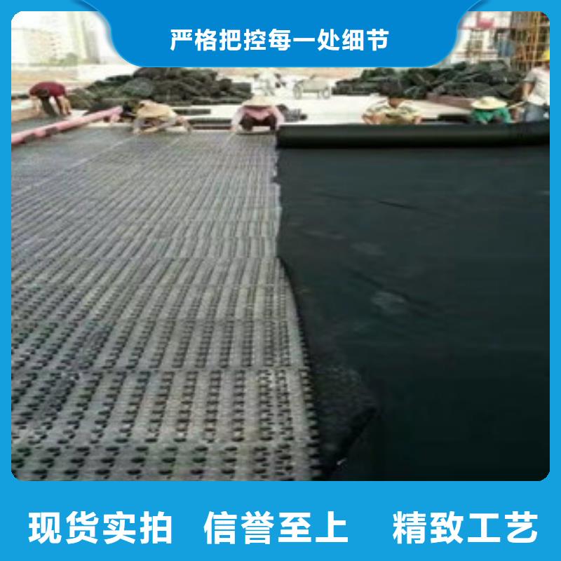 蓄排水板植草格厂家从厂家买售后有保障