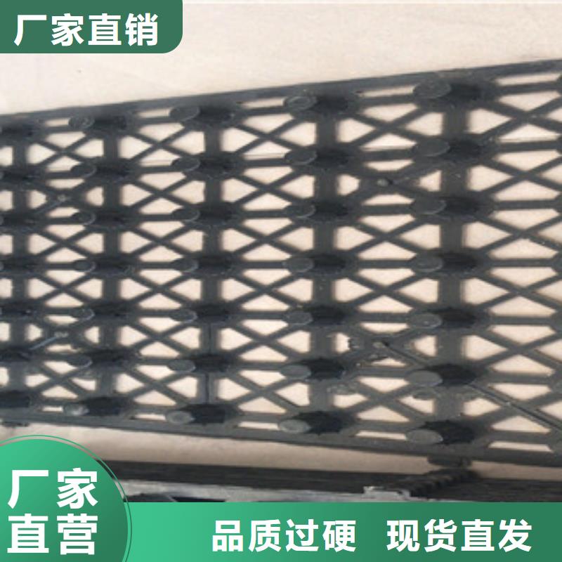 蓄排水板排水板厂家丰富的行业经验